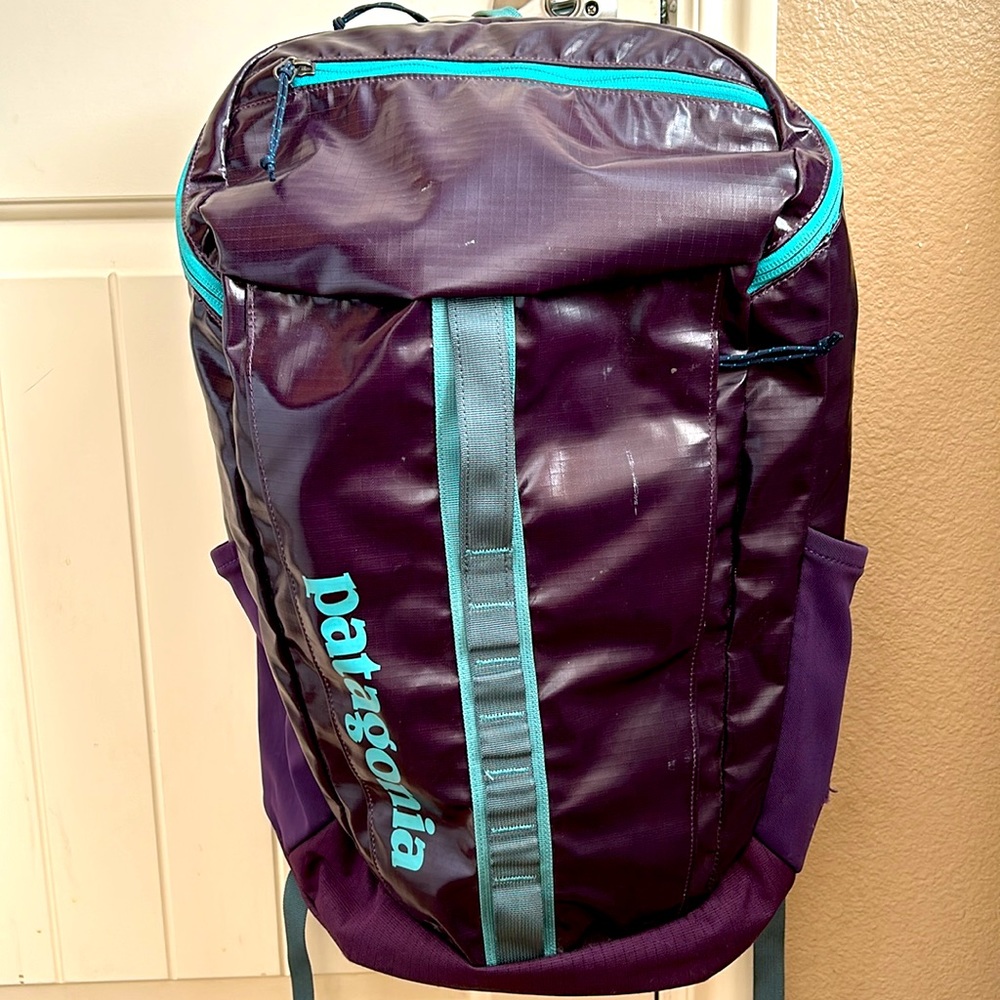 Patagonia Black Hole Backpack 25 liters PURPLE Grape Mint Accents